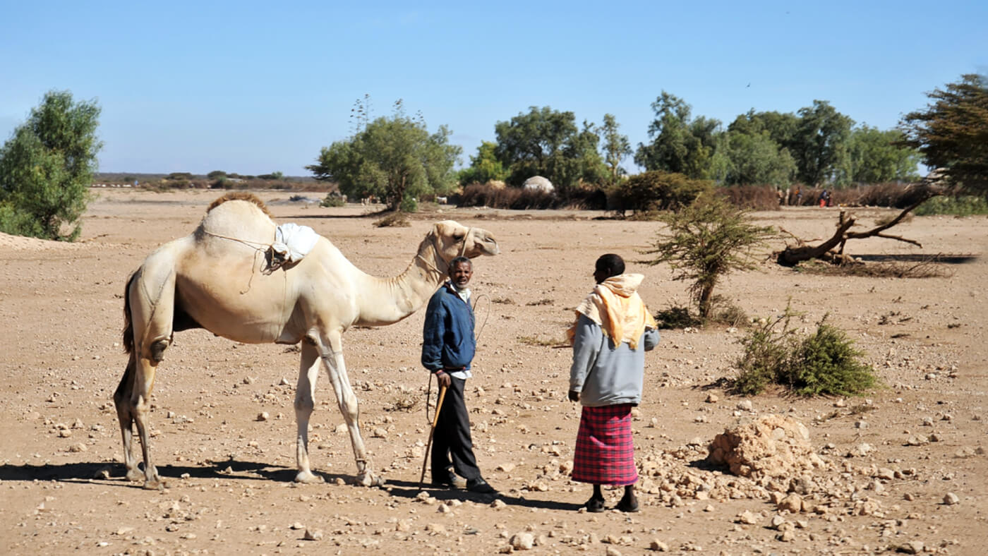 Somaliland: One land’s quest to defuse a climate ‘timebomb’